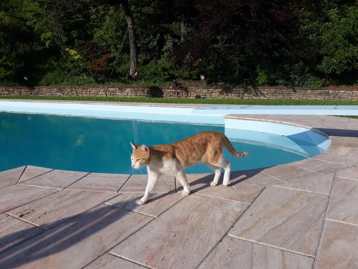 Bed and Breakfast La Giorgetta Ovada Zewnętrze zdjęcie
